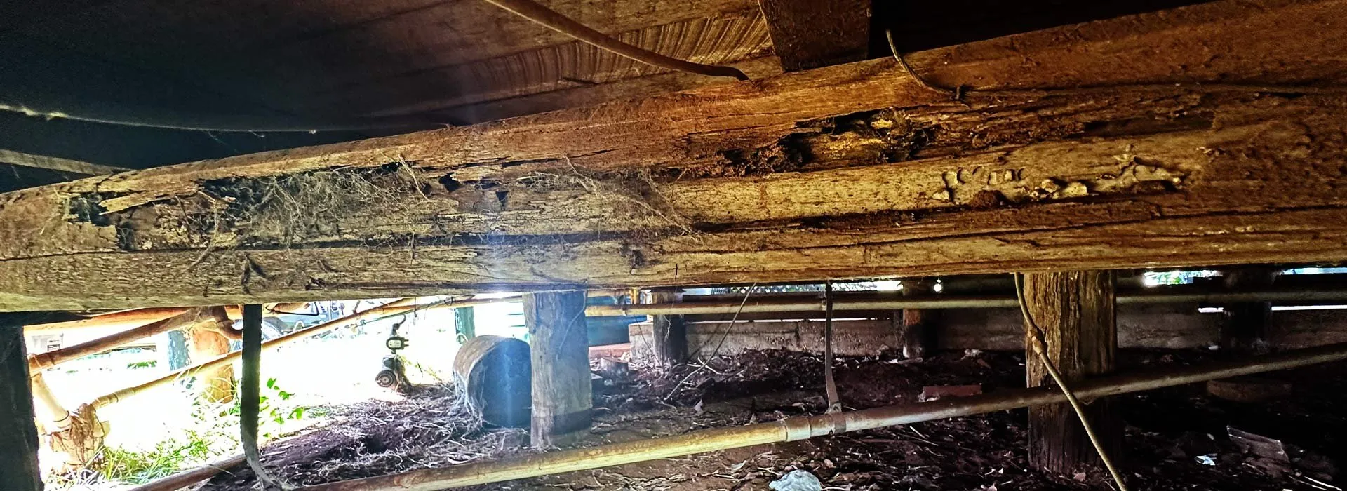 Building and Timber Pest Inspections